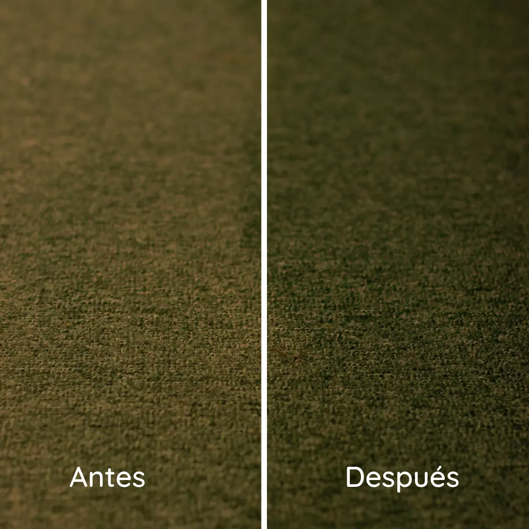 Trabajo de limpieza realizado por ARGO en Madrid