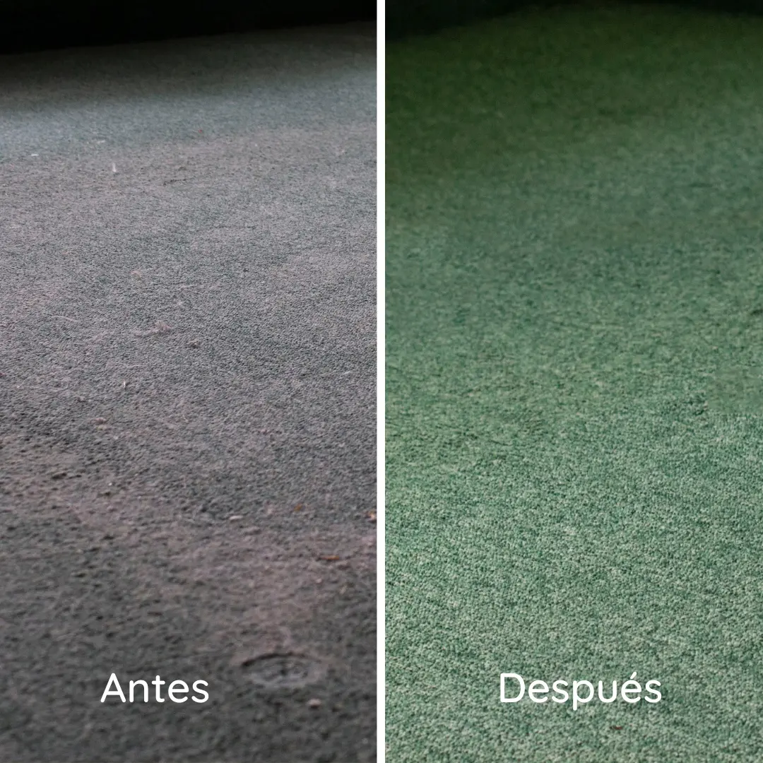 Resultado de un servicio de limpieza de ARGO