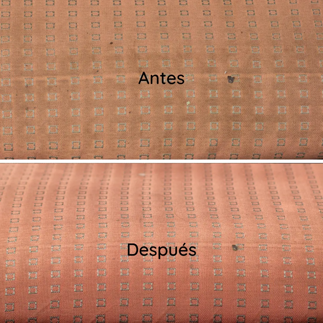Detalle de un trabajo de limpieza de ARGO