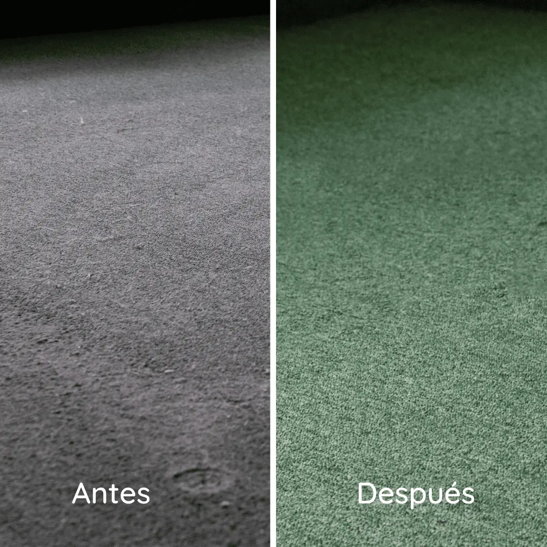 Servicio de limpieza realizado por ARGO