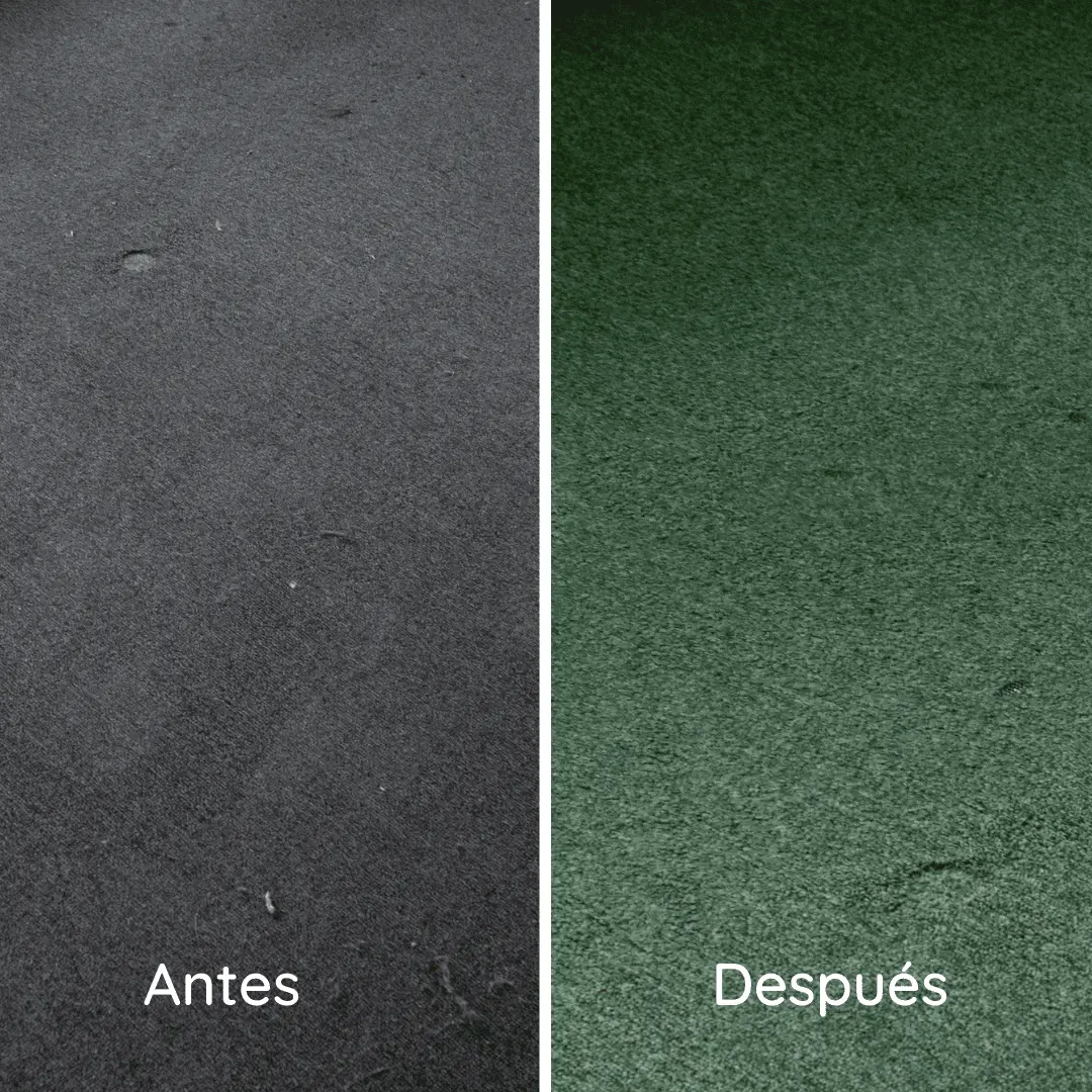 Espacio atendido por el equipo de ARGO